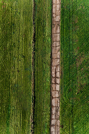 Dirt Road