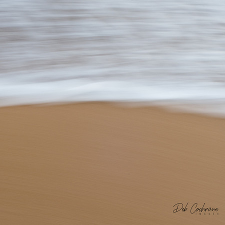 _DCI9300