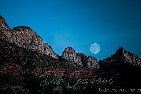 Zion Moon