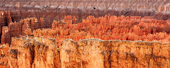 Bryce Panorama