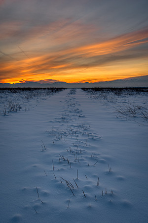 Road Home