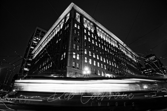 Night rider B+W