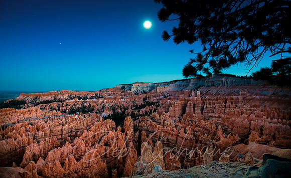 Bryce Moon