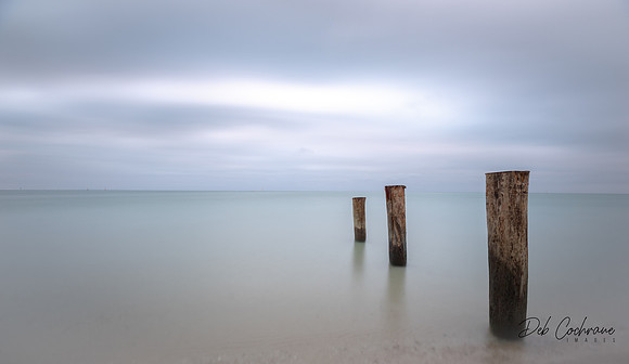 Silver Morning