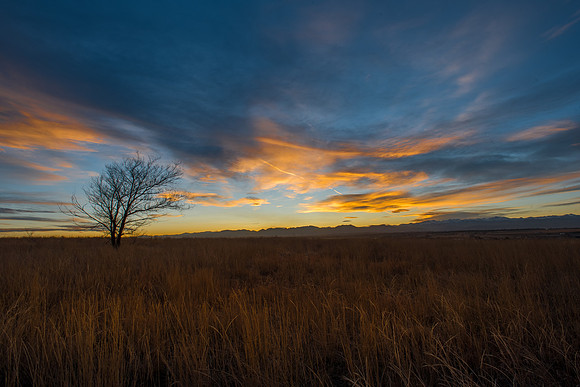 _DCI3950-HDR