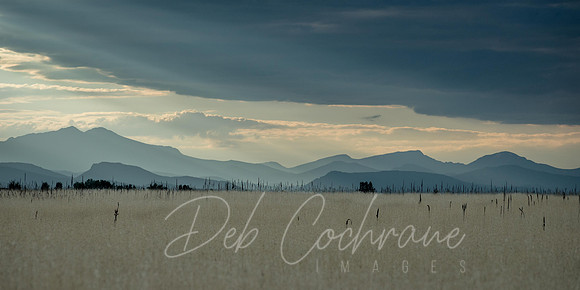 Rocky Mountain Blues