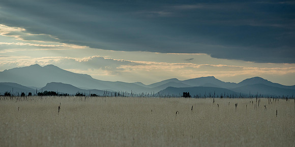 Rocky Mountain Blues