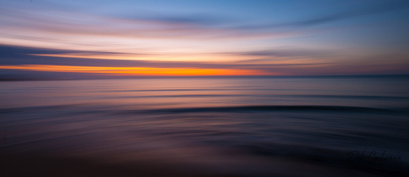 Into the Night